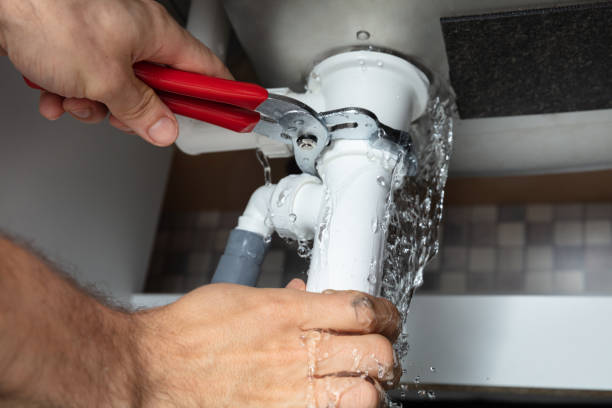 Best Mold removal after water damage  in Vashon, WA