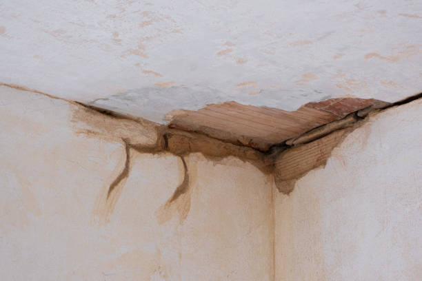 Best Flood restoration services  in Vashon, WA