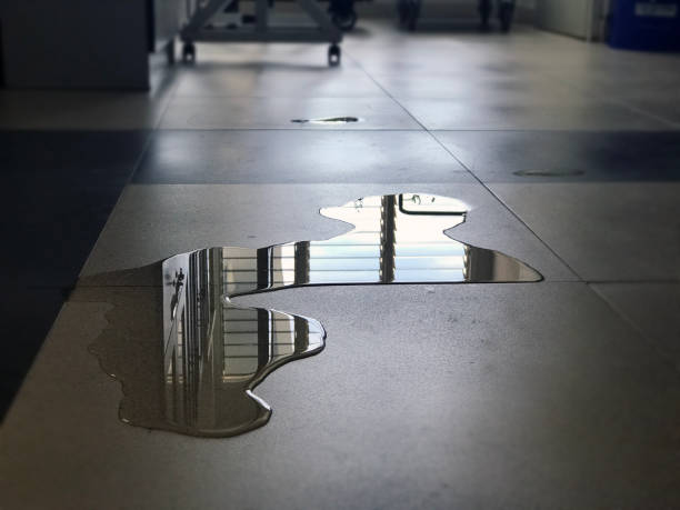 Best Water damage restoration services  in Vashon, WA