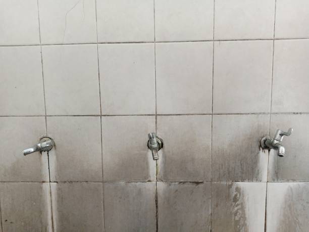 Best Mold removal after water damage  in Vashon, WA
