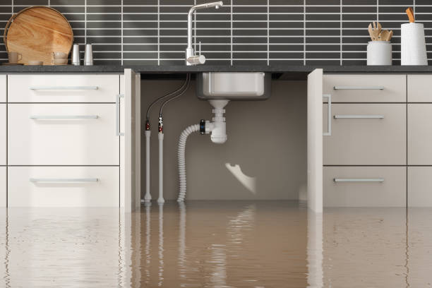 Sewage cleanup and water damage restoration in WA