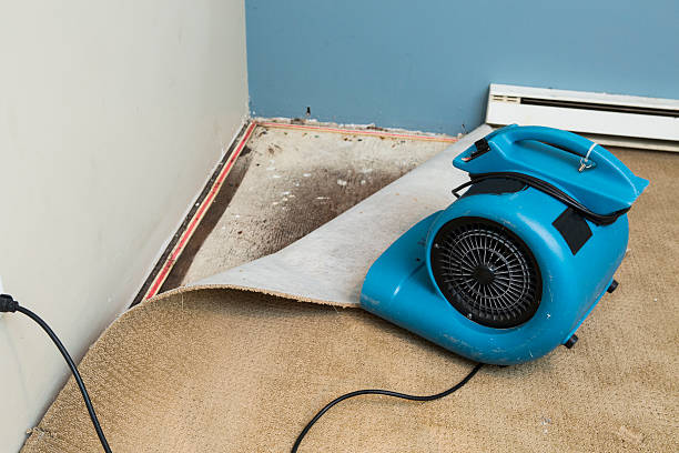 Best 24/7 water damage repair  in Vashon, WA